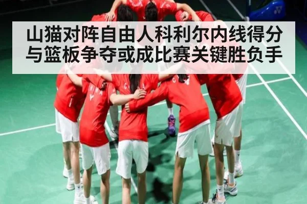 山猫对阵自由人科利尔内线得分与篮板争夺或成比赛关键胜负手